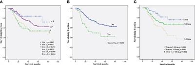 Clinical Characteristics and Survival Outcomes in Neuroblastoma With Bone Metastasis Based on SEER Database Analysis